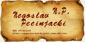 Negoslav Pecinjački vizit kartica
